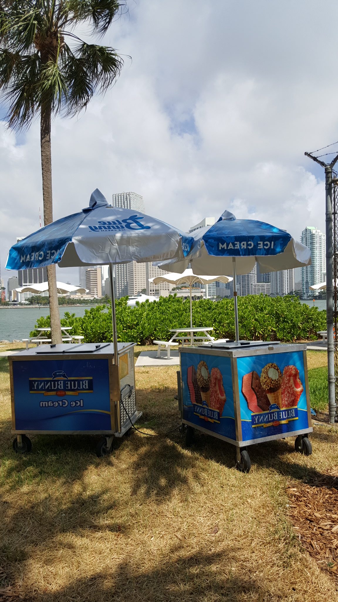 Ice Cream Cart Party Miami Florida